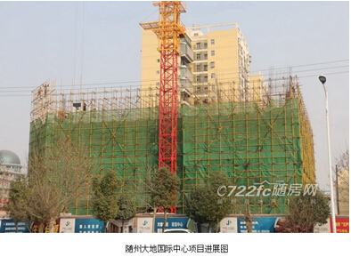 隨州大地國際中心項目進展圖